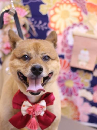 20240116やまとくん